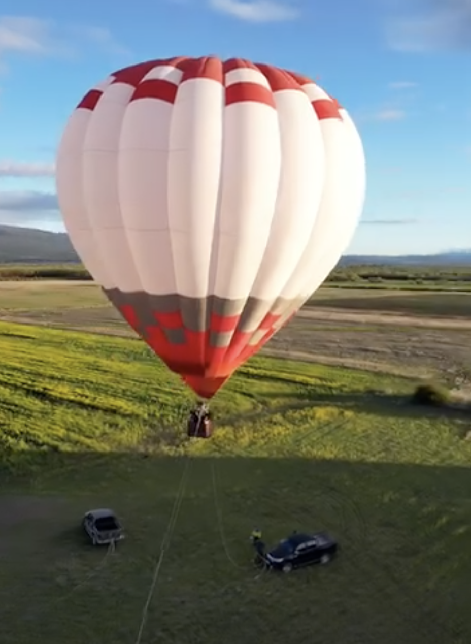 GLOBO AEROSTATICO EN TULIPANES